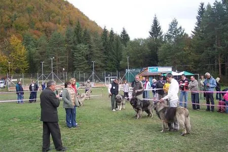 psy - trieda otvorená