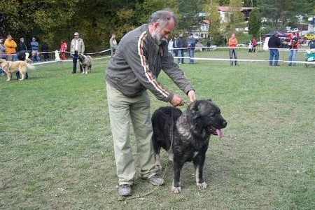 Ekis Remon Farez - klubový víťaz - suka
