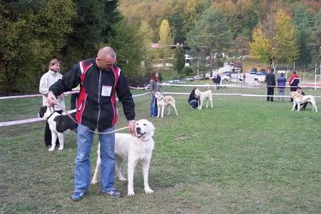 Ejbar Pirosao-klubový víťaz mladých