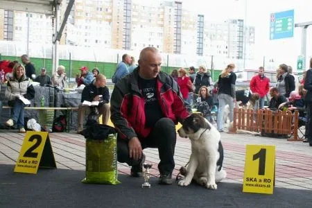 EZON Varorud, VN, Best Puppy
