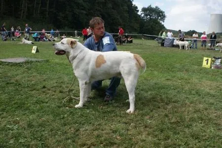 Temir Bakkar Chepás Kennel