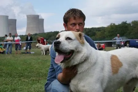 Temir Bakkar Chepás Kennel