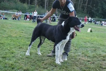 CERA Mount Chán