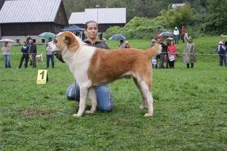 El-Sabur Varorud