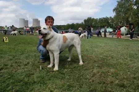 Temir Bakkar Chepás Kennel
