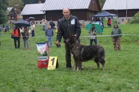 HELGA Ohnivá Krv, tr.otvorená, V1, CAC, KV, BOB