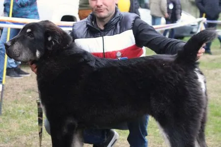 15. Oroshon Gjulčitaj Tuhaj Bej