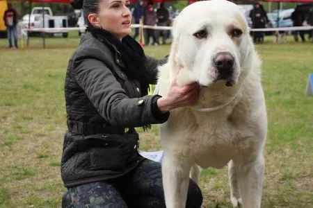 68. BAYKAL