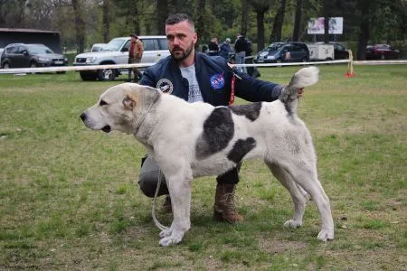 113. AKKIN Cao It