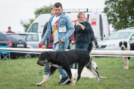 19. Oroshon Gjulčitaj Tuhaj Bej