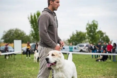 16. Dony Kora-Bora Sklabiňa