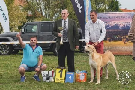 104. Hateria Oktopod Kennel