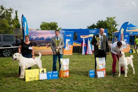 Víťazi KV SKÁaRO Radava 2019
