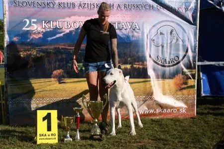 87.	MIYAT IJGILIK	- V1, CAJC, Best Junior, Klubový víťaz mladých, BOS