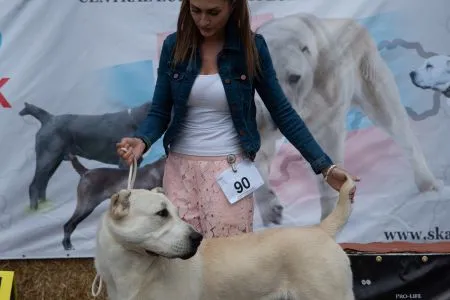 90. Kazbegi Hayna - VN4