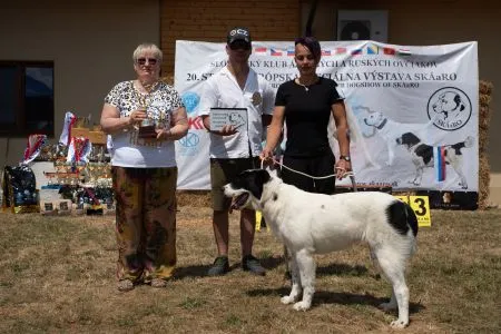 85. Bonnie spod Vysokých Tatier - VN1, Best Puppy