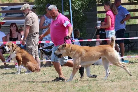 61.Renesmee Teneris Amar - V2, ResCAC