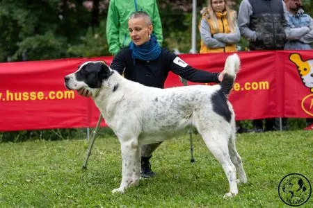 125. BONNIE SPOD VYSOKÝCH TATIER – V2, RCAC 