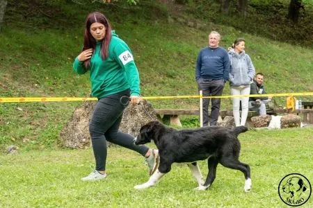  84. 	DEJANA KABA-MELEK – VN3