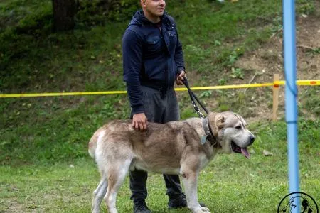  69. 	TOLJA GJIĽČITAJ TUHAJ BEJ - VD 	 	