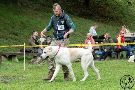  13. 	F-HECTOR KORA-BORA SKLABIŇA - N 