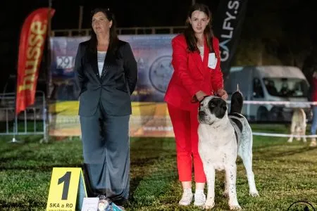 118.	Suky	Trieda	Šampiónov	STELLA IZ RUSKOG IZVORA	V1, CAC, Klubový víťaz