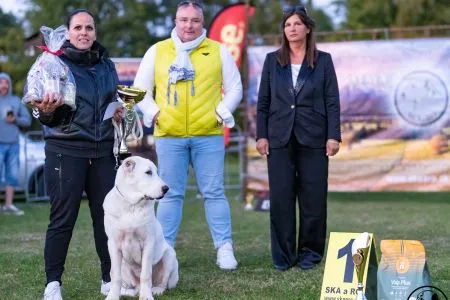 1.	Psy	Trieda	Mlad.dorastu	ARDAH SRDCE BOJOVNÍKA  VN 1, BIS Minor puppy