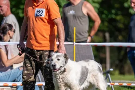 122.	Suky	Trieda	Veteránov	DORA CHACALKIZ CHENEKEL	V
