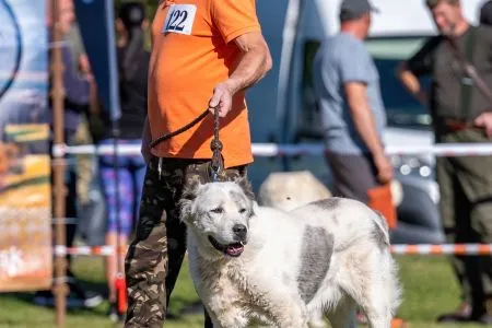 122.	Suky	Trieda	Veteránov	DORA CHACALKIZ CHENEKEL	V