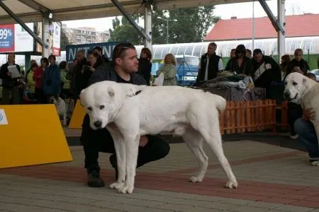 KALIS Dlugojowska Polana, trieda mladých V2