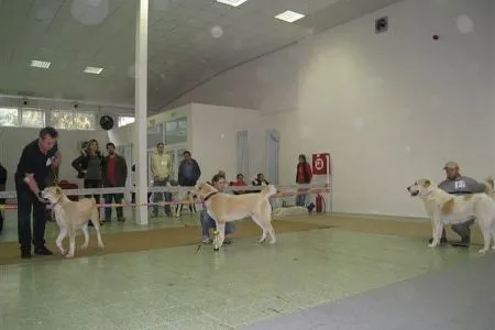 klub.víť.-suky